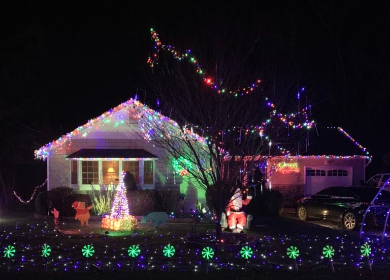 Photo 1 of Lower Shore Light Display