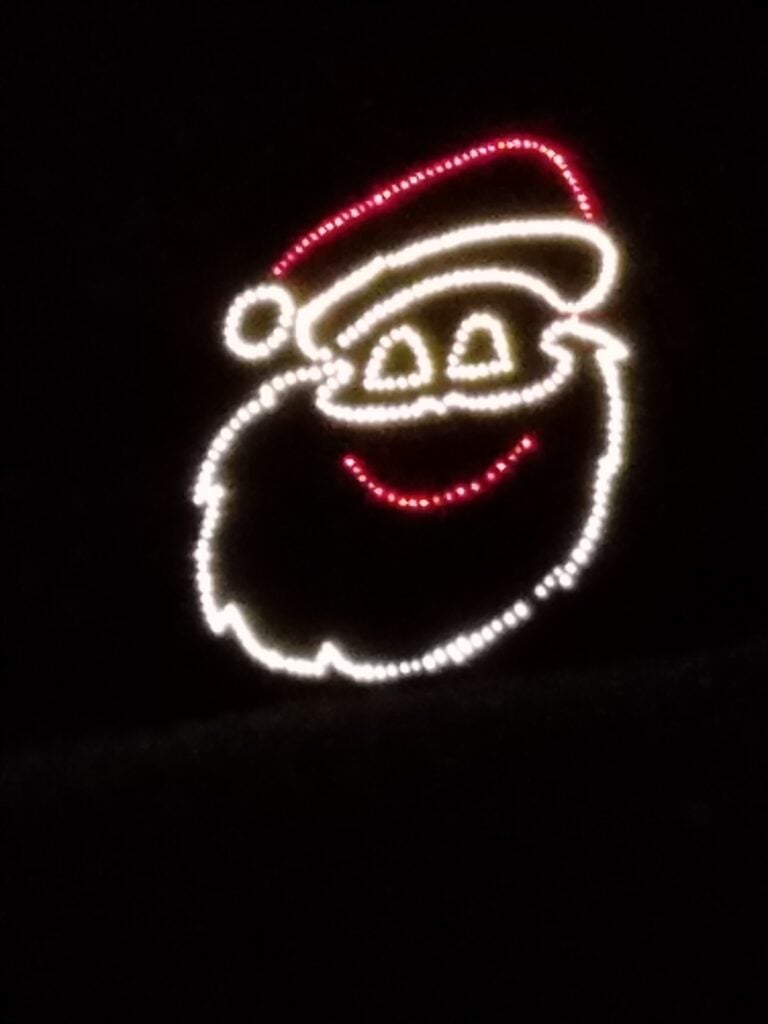 Photo 3 of Lay Family Christmas Lights w/Singing Snowman