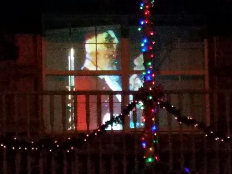 Photo 4 of Lay Family Christmas Lights w/Singing Snowman