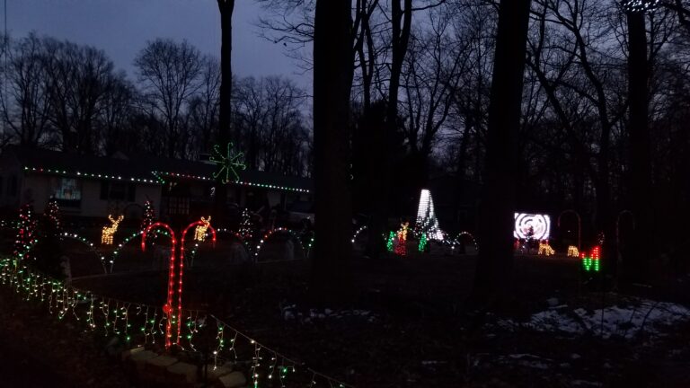 Photo 23 of Mission Holiday Lights