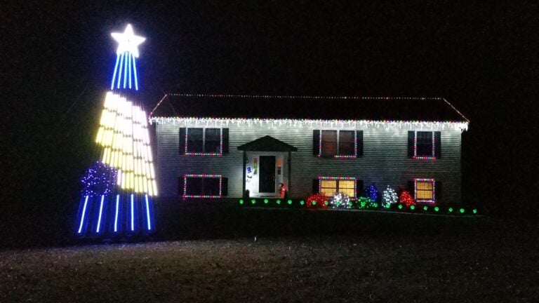 Photo 1 of Belofski Light Show