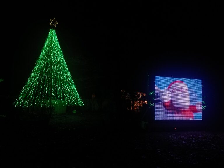 Photo 19 of Mission Holiday Lights