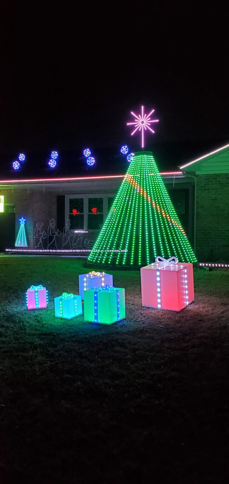 Photo 3 of Christmas Lights on Darby Rd