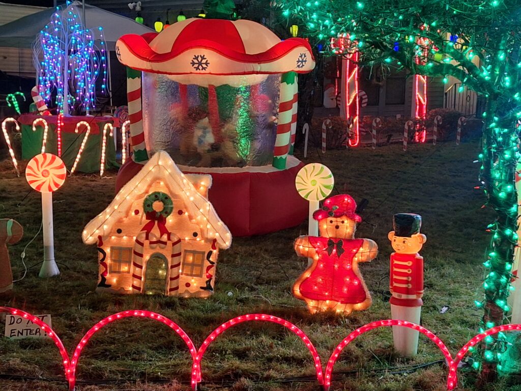 Photo 2 of The Very Merry Christmas House of Lights