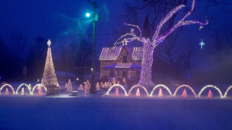 Photo 1 of DUDA LIGHTS
