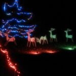 2 5 1455 141208021824886715 1