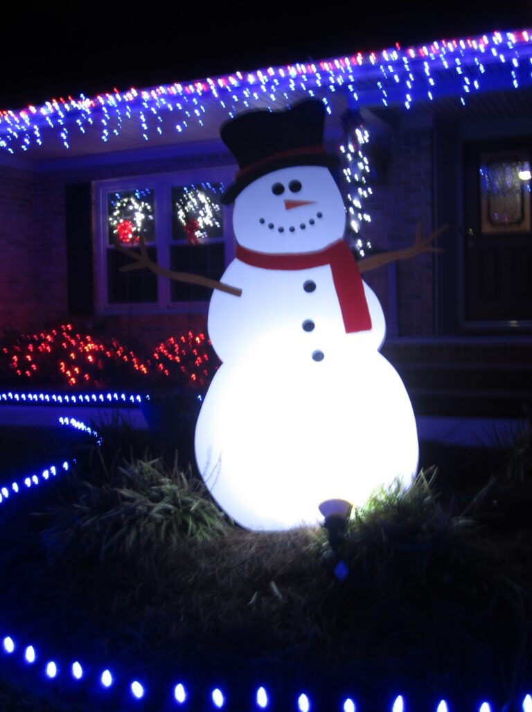 Photo 4 of Christmas Lights on Darby Rd