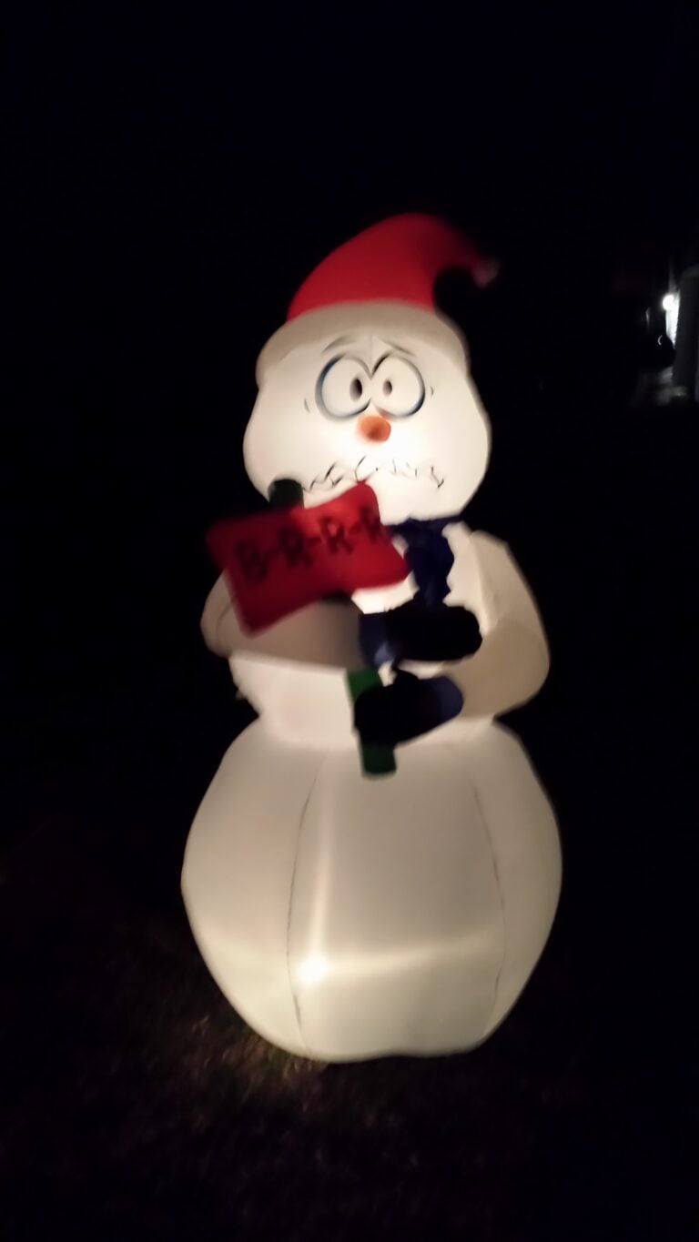 Photo 3 of Uncle Eddies Grizwalds Family Christmas Display 2023