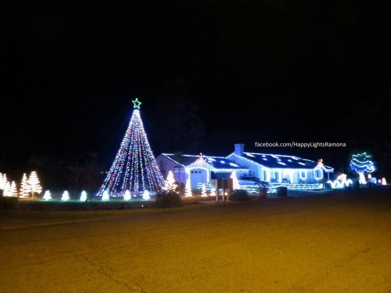 Photo 1 of Happy Lights on Trinity