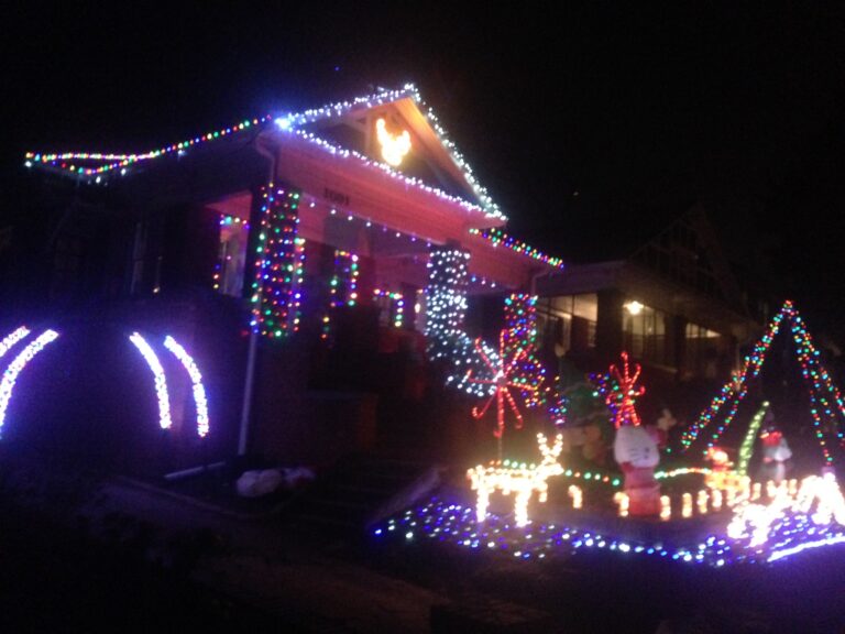 Photo 13 of HOLIDAY MAGIC - The Woodruff Family Christmas Lights