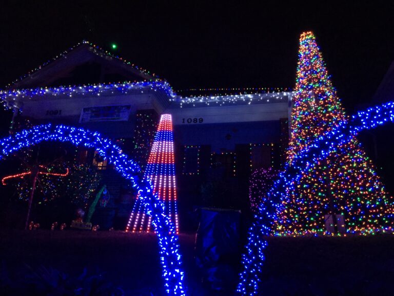 Photo 6 of HOLIDAY MAGIC - The Woodruff Family Christmas Lights