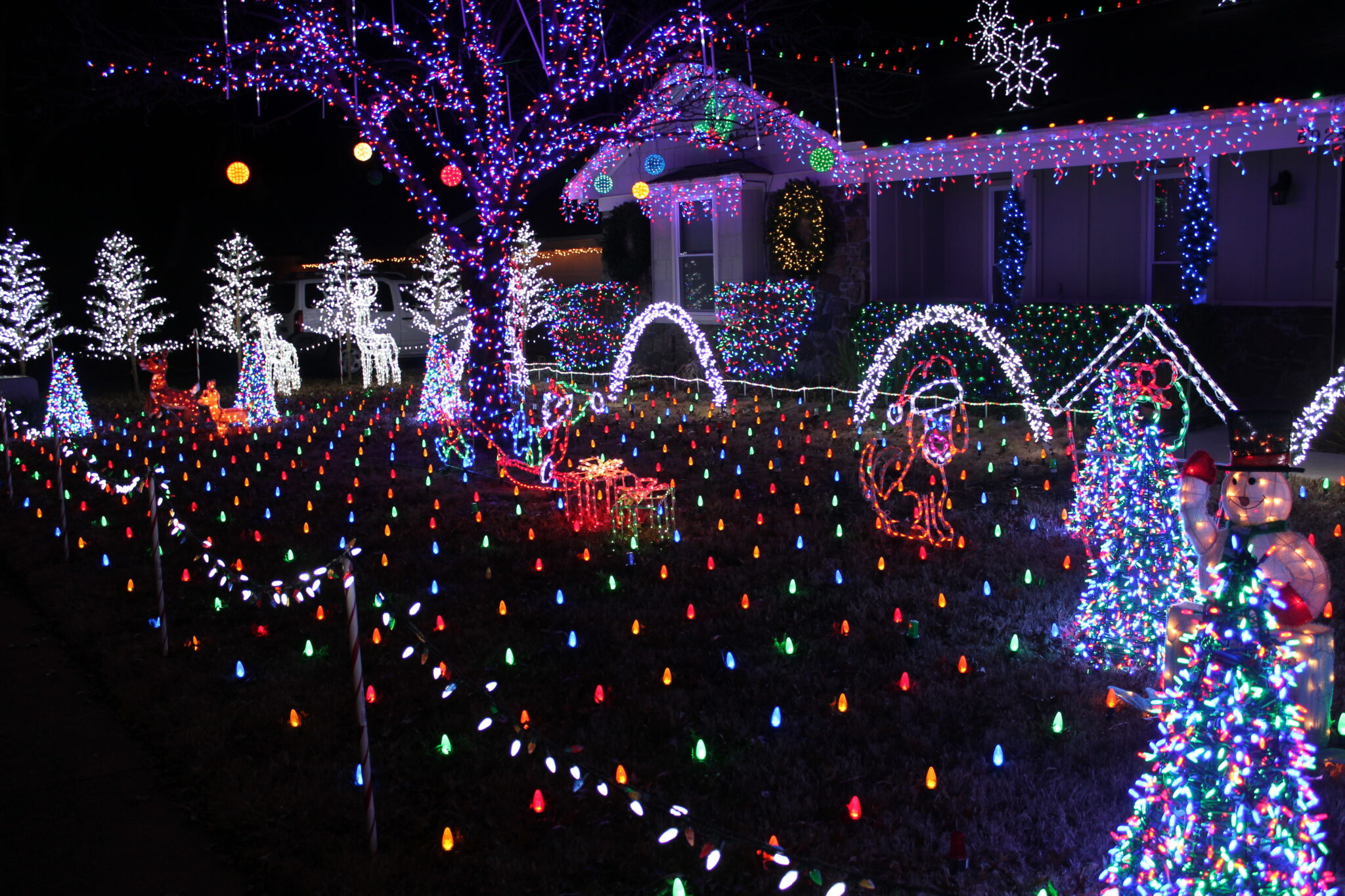 Tennessee Christmas Lights 2026