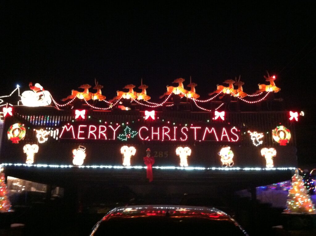 Photo 3 of Buza's Christmasland