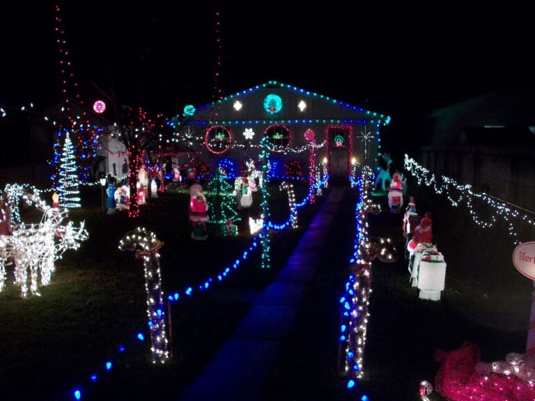 Photo 1 of The Moyer Christmas Display