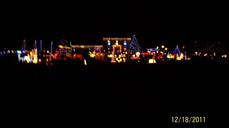 Photo 6 of Reph's Family Winter Wonderland