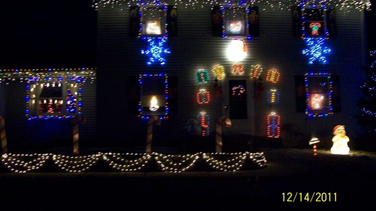 Photo 1 of Reph's Family Winter Wonderland