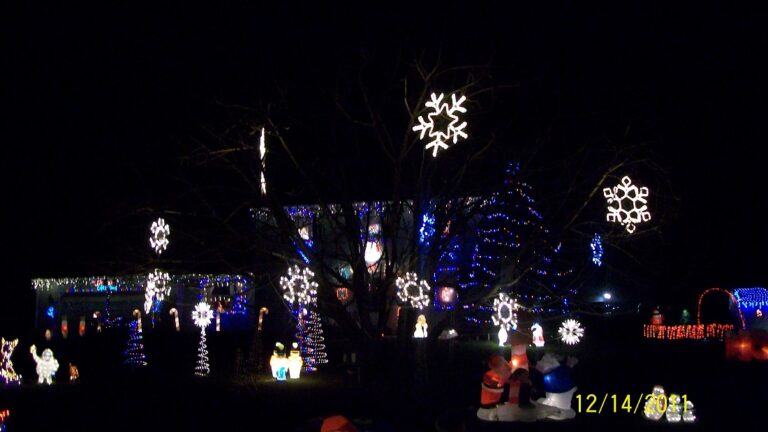 Photo 3 of Reph's Family Winter Wonderland