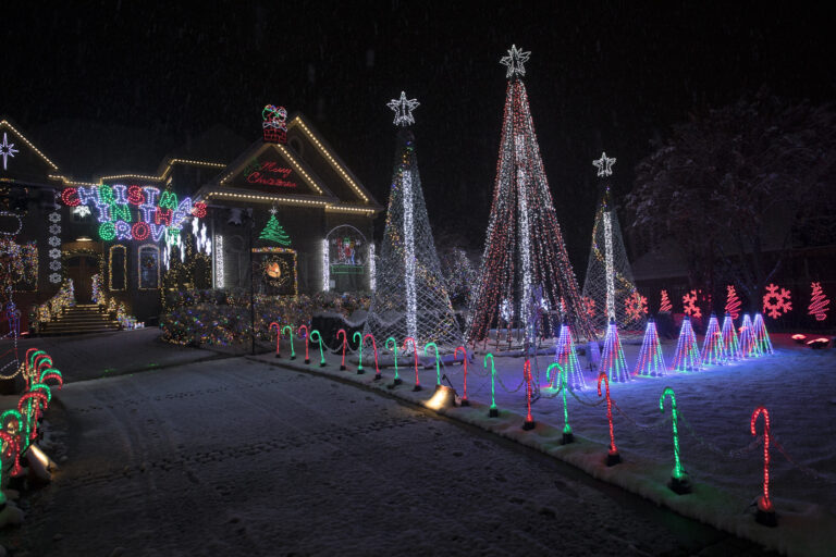 Photo 10 of Christmas in the Grove [Retired]
