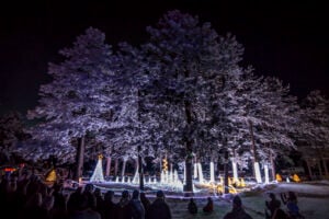 CCC Christmas Lights 2015 7613