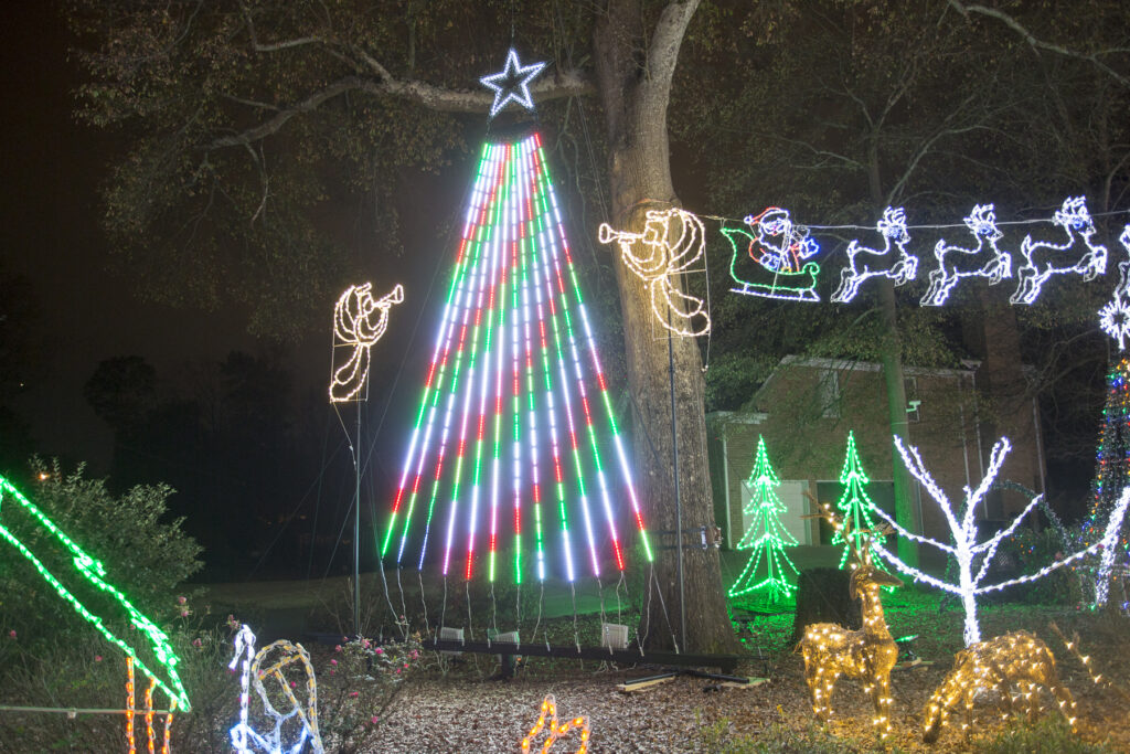 Photo 3 of Christmas in the Grove [Retired]