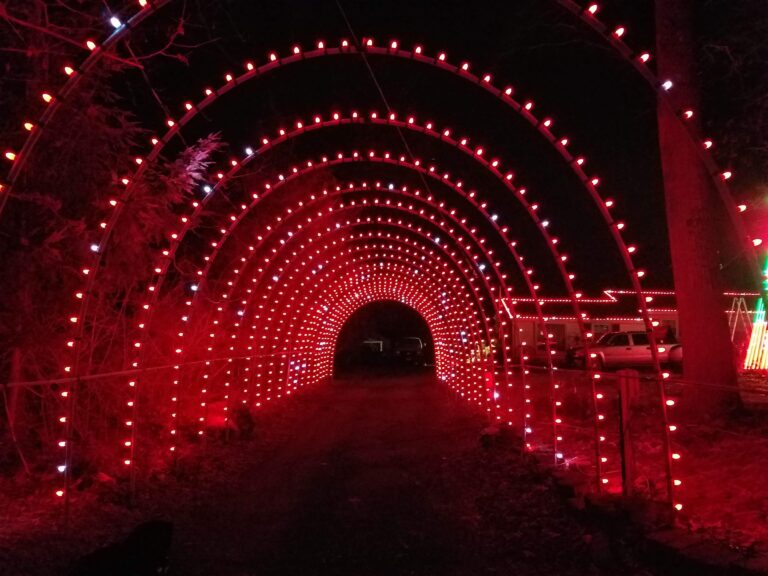 Photo 8 of Mission Holiday Lights