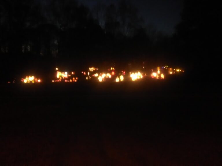 Photo 1 of Davis house Christmas lights