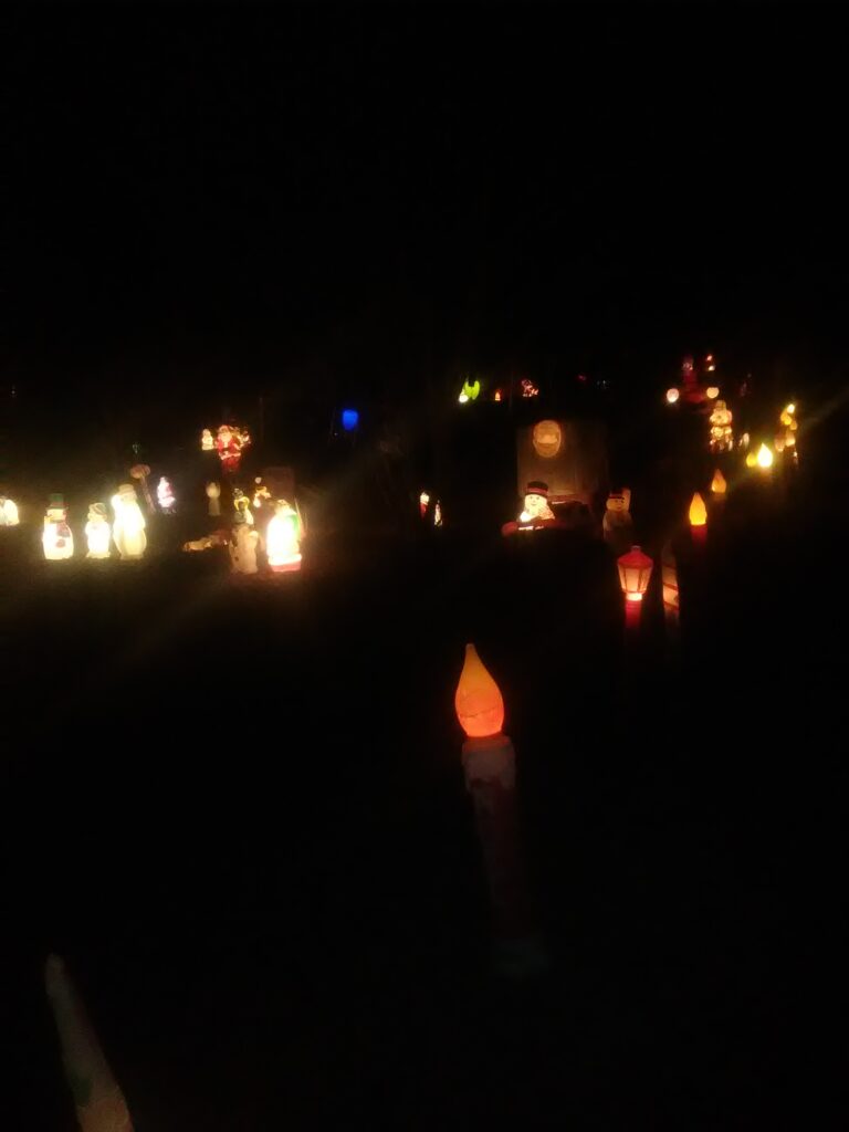 Photo 7 of Davis house Christmas lights