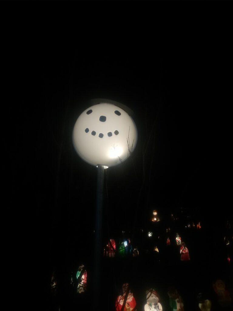 Photo 6 of Davis house Christmas lights