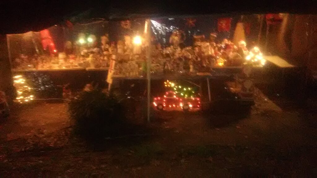 Photo 3 of Davis house Christmas lights