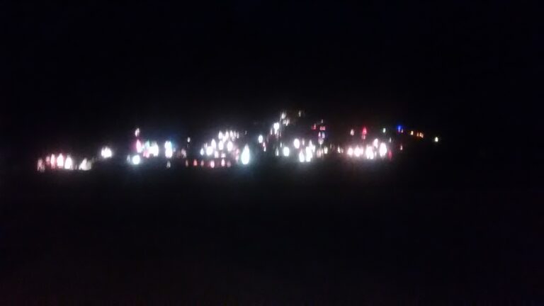 Photo 4 of Davis house Christmas lights