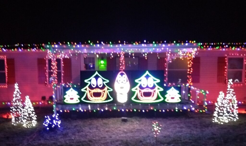 Photo 3 of Dobbs Festival of Lights In Memory of Bradley Michael Dobbs 6/22/1995-12/25/1995