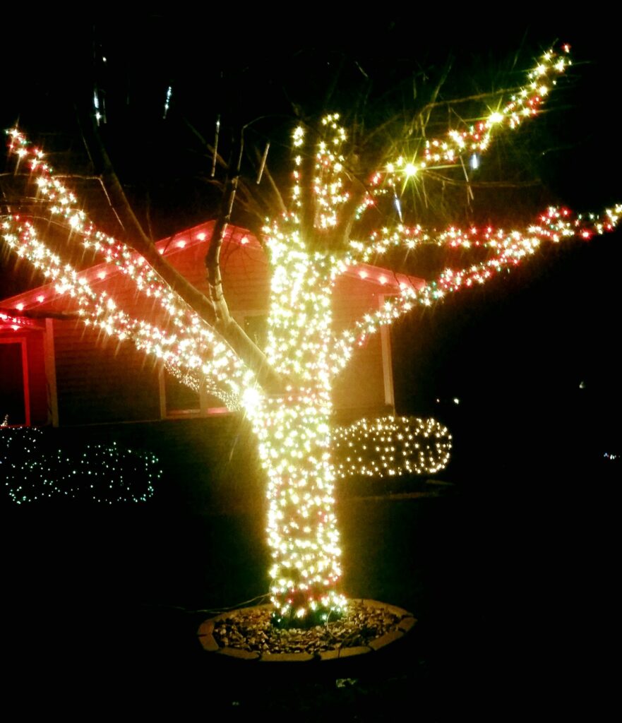 Photo 2 of Lelugas lights on Sunrise