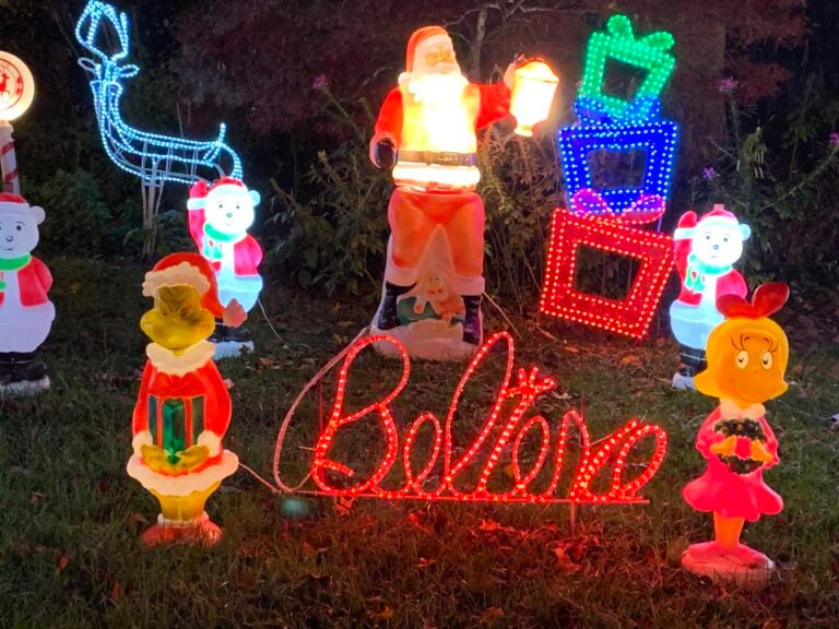 Photo 9 of A Whole Lot Of Christmas
