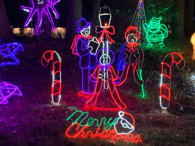 Photo 6 of A Whole Lot Of Christmas