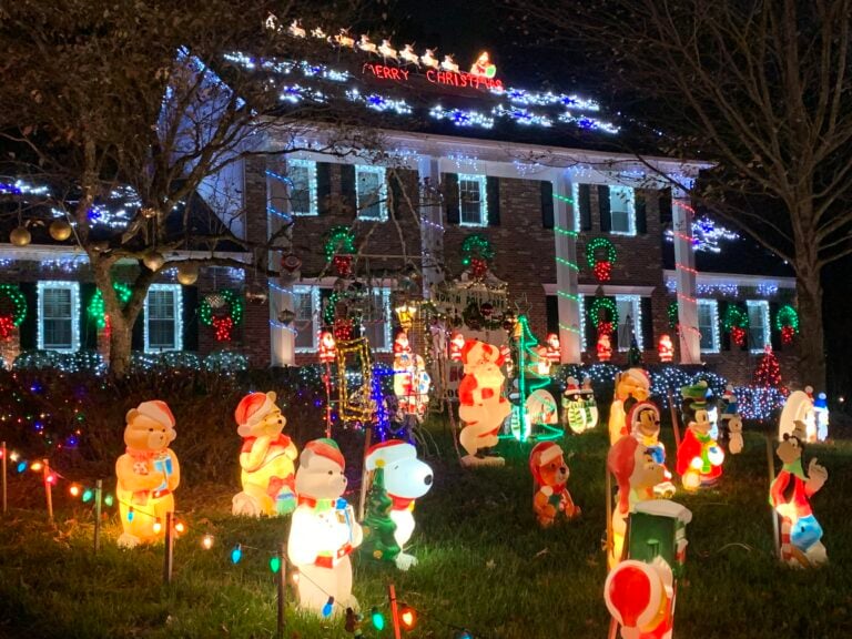 Photo 10 of A Whole Lot Of Christmas
