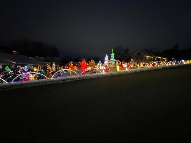 Photo 1 of Buza's Christmasland