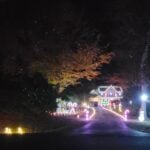 inbound2981454463994543189