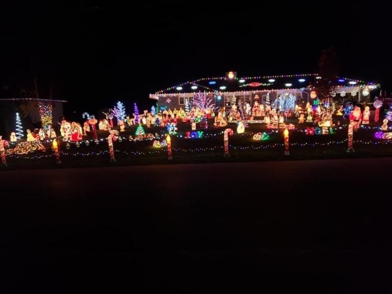 Photo 2 of Lelii Family Light Display