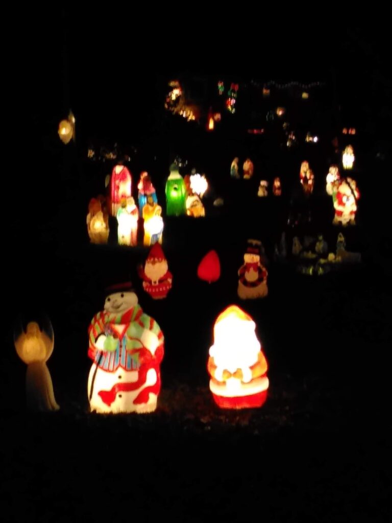Photo 5 of Davis house Christmas lights