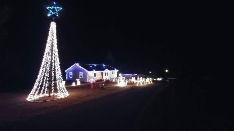 Photo 1 of Winter wonderland of lights
