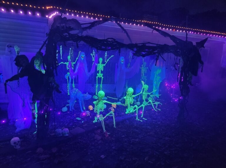 Photo 7 of Mission Holiday Lights