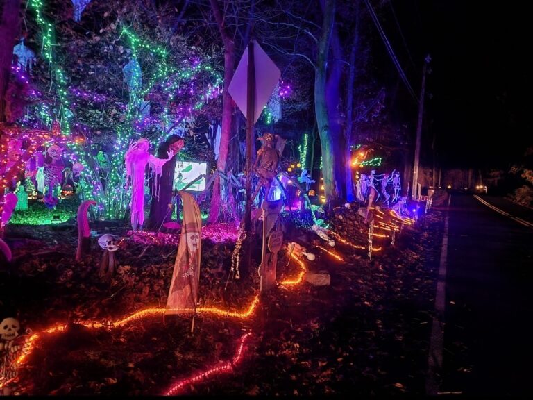 Photo 5 of Mission Holiday Lights