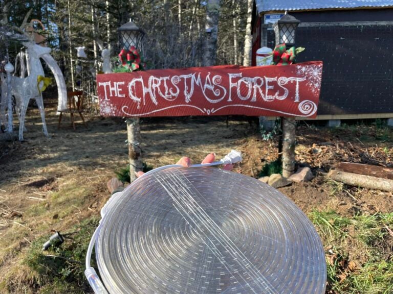 Photo 1 of The Christmas Forest Of Maine