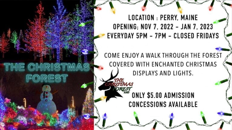 Photo 2 of The Christmas Forest Of Maine