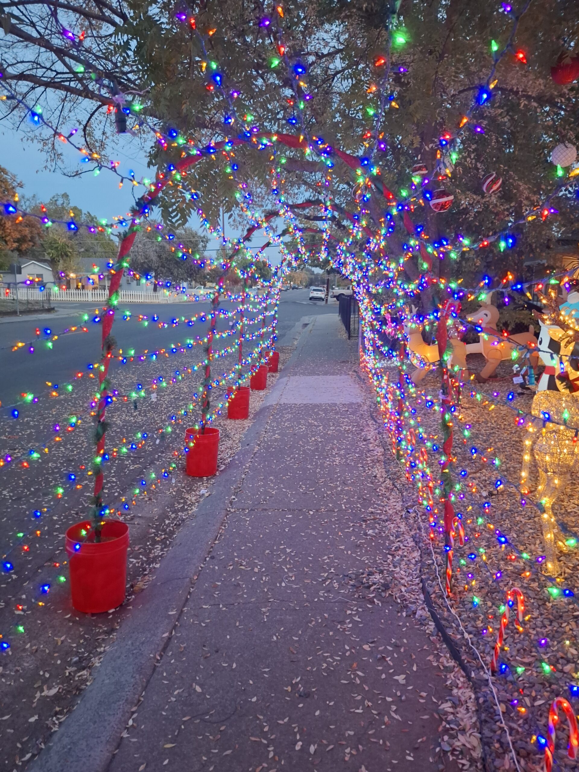 20241109 171151 scaled