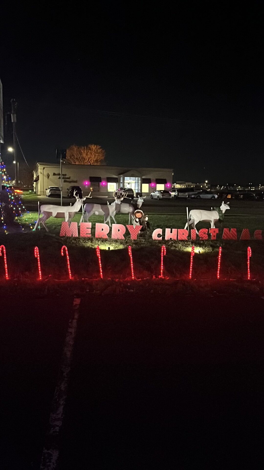 58A91905 8D77 431C AEF4 7AAF367AD450 rotated