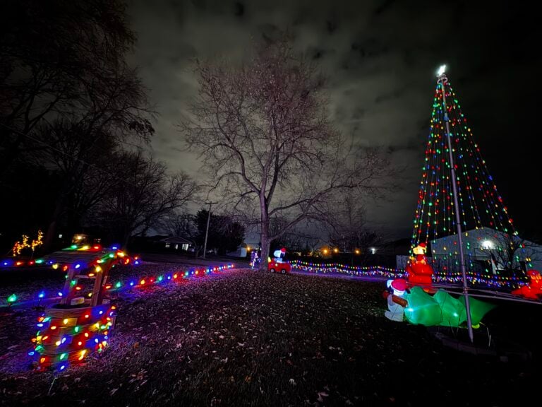 Photo 5 of Mosiman Holiday Cheer