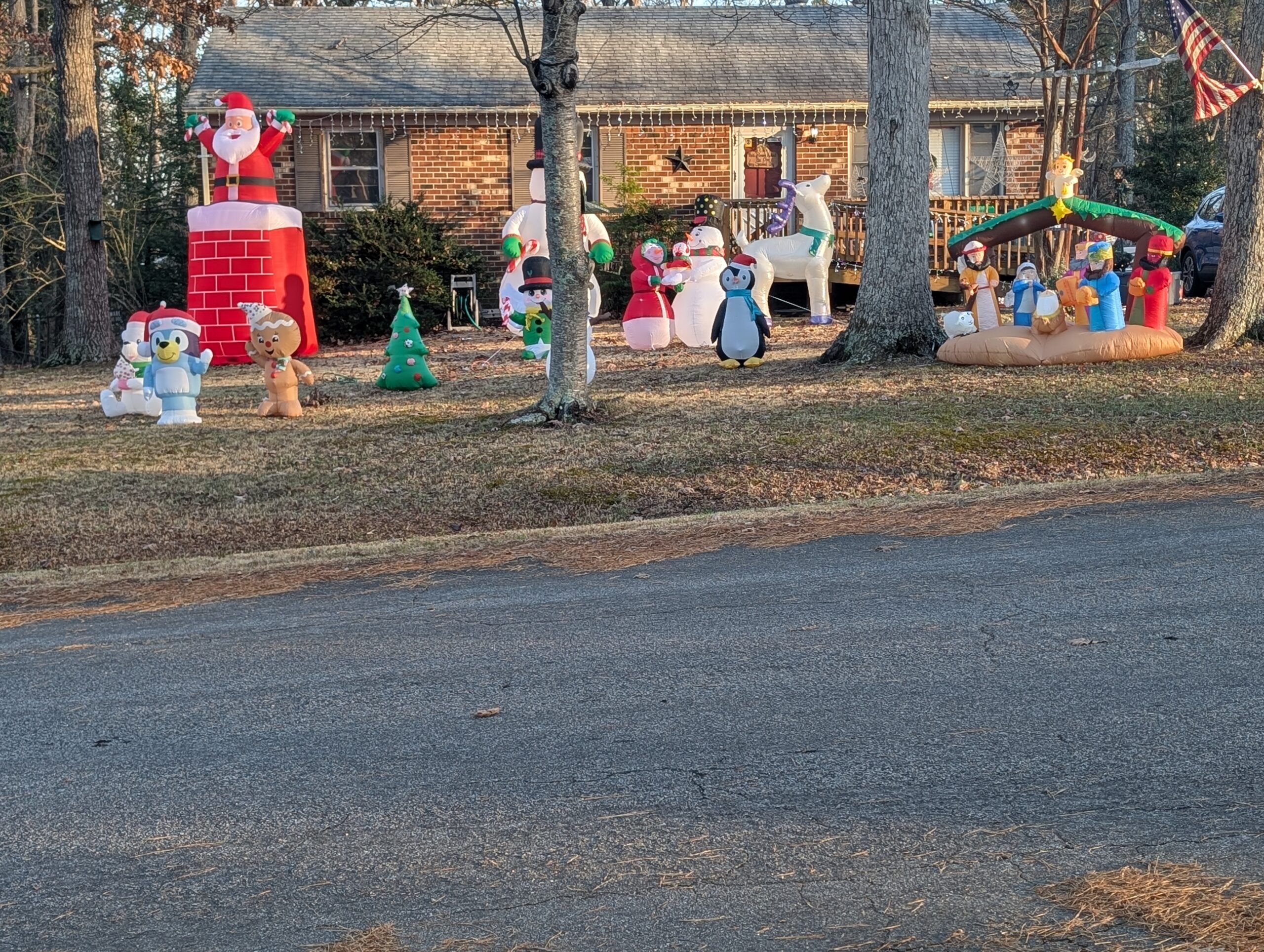 Image 7 of 1000003544