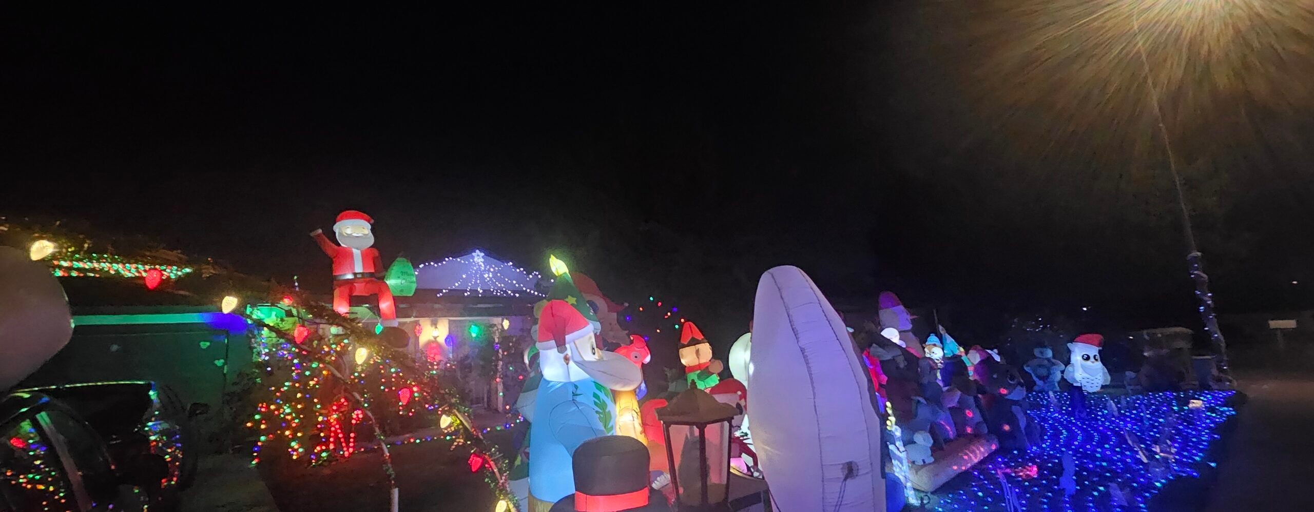 Image 4 of 1000009484