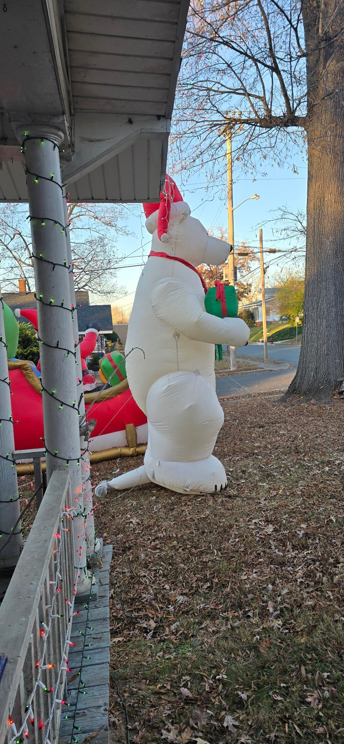 20251123 163816 scaled